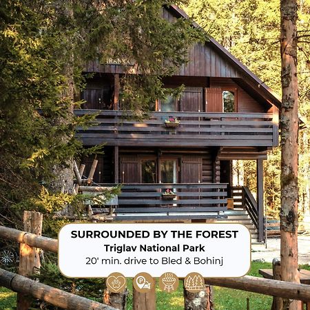 Forest Apartments Pokljuka Згорнье-Горье Экстерьер фото