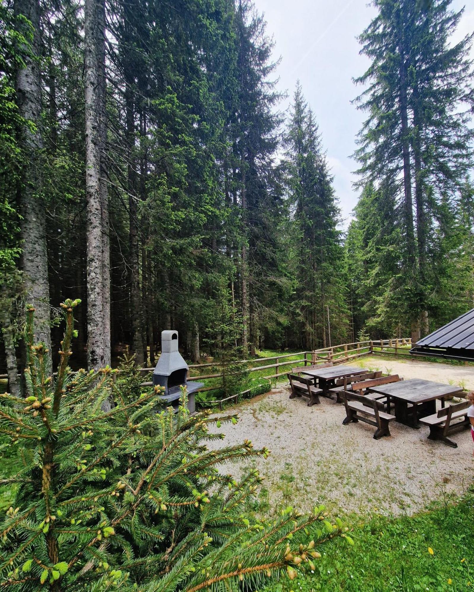 Forest Apartments Pokljuka Згорнье-Горье Экстерьер фото