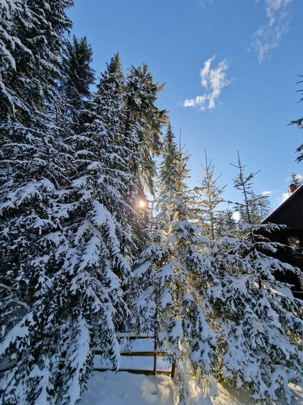 Forest Apartments Pokljuka Згорнье-Горье Экстерьер фото