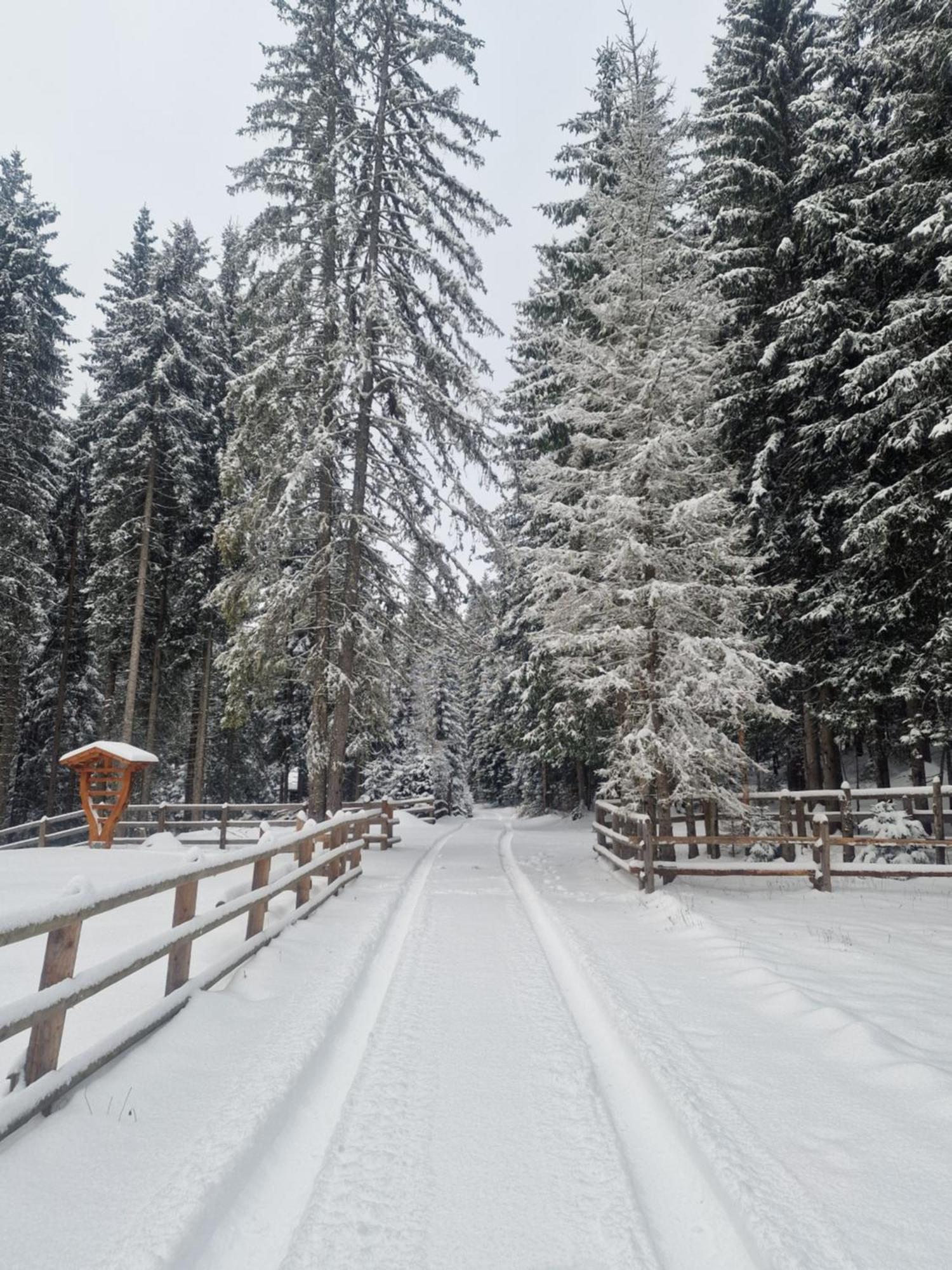 Forest Apartments Pokljuka Згорнье-Горье Экстерьер фото