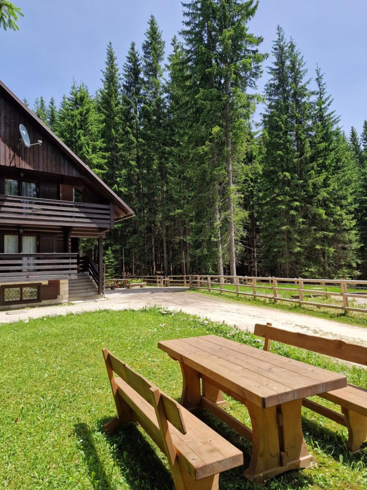 Forest Apartments Pokljuka Згорнье-Горье Экстерьер фото