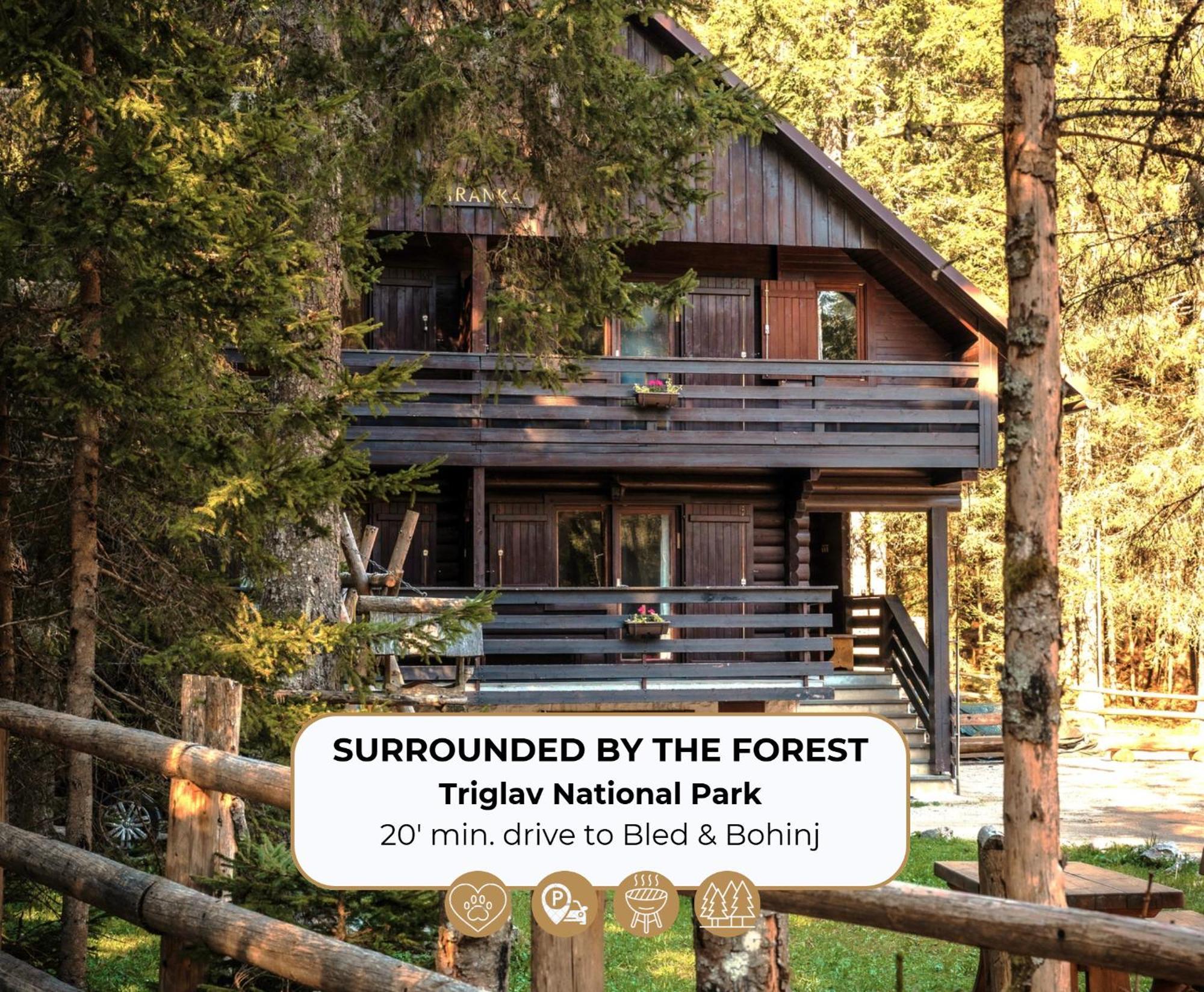 Forest Apartments Pokljuka Згорнье-Горье Экстерьер фото