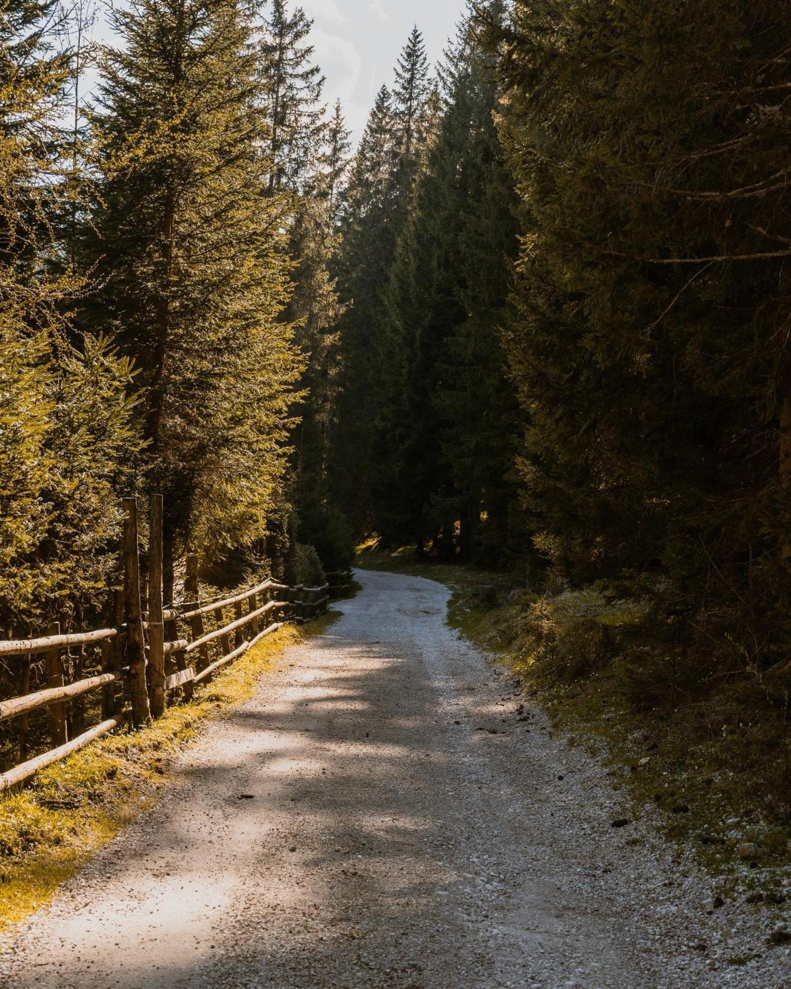 Forest Apartments Pokljuka Згорнье-Горье Экстерьер фото